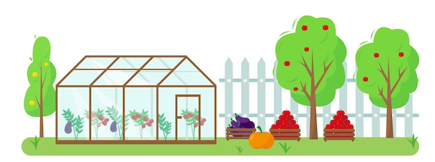 Vector vegetables , fruits and greenhouse in the garden. gardening and harvesting concept . autumn or summer banner or background  illustration.