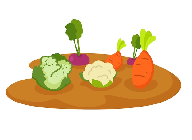 Vector vegetables in garden on white background