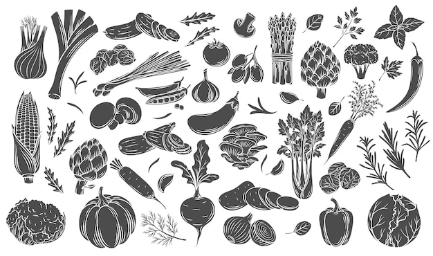 Vegetables glyph icons set