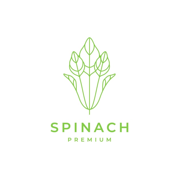 Vector vegetables green spinach fresh nature food health lines minimalist logo design vector icon illustration template