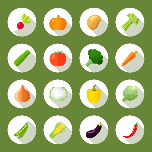 Vegetables icons flat set with radish pumpkin potato celery\
isolated vector illustration