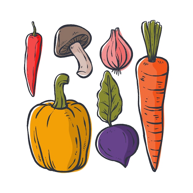 Vegetables illustration, hand drawn technique