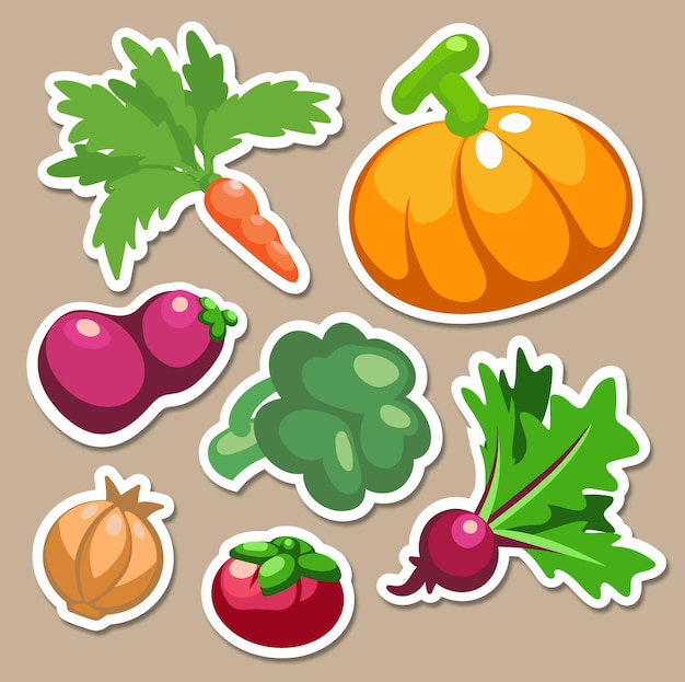 vegetables illustrations set