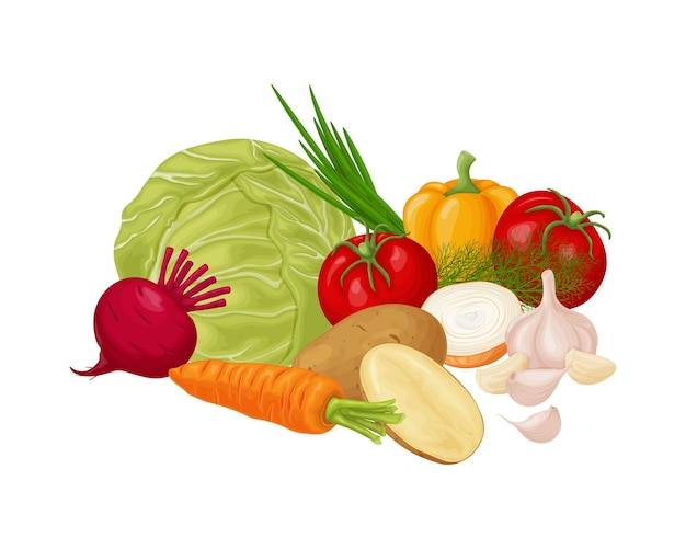 Овощи Изображение овощей, таких как капуста, помидоры, лук, чеснок и картофель, а также морковь со свеклой Спелые овощи из сада Вегетарианские витаминные продукты Вектор