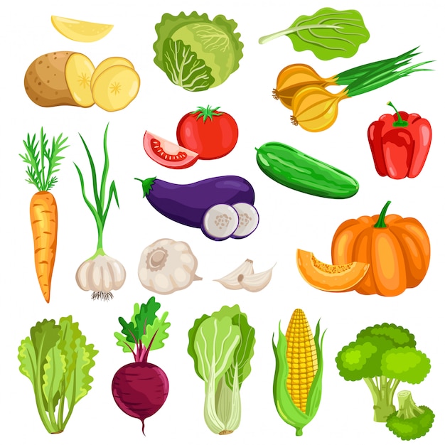 Cartoon fresh vegetables set 11520488 Vector Art at Vecteezy