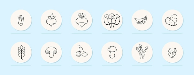 Vector vegetables line icon healthy food corn carrots cabbage potatoes broccoli hot peppers pastel color background vector line icon for business