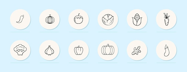 Vector vegetables line icon pumpkin ginger garlic broccoli carrot tomato pumpkin pastel color background vector line icon for business