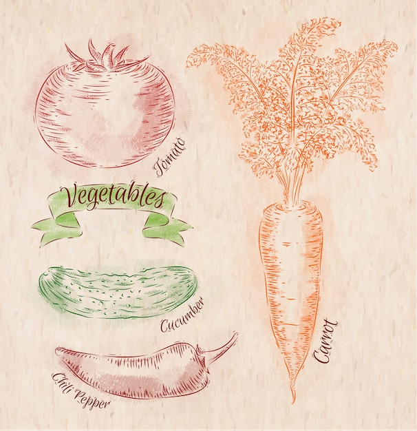 Verdure dipinte in diversi colori carota, pomodoro, pomodori, peperoncino, pepe