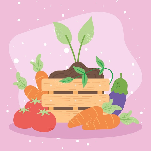 Vegetables and plant