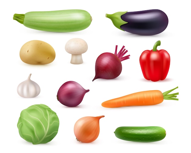 Vector vegetables ripe realistic veggies for dieting