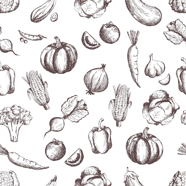 Vegetables seamless pattern handsketched vintage vegetables line art illustration