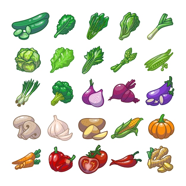 Vegetables set drawing illustration design