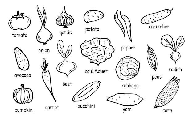 Vegetables Set hand drawn doodle elements Green Eco products with its names Vector illustration for backgrounds web design design elements textile prints covers posters menu