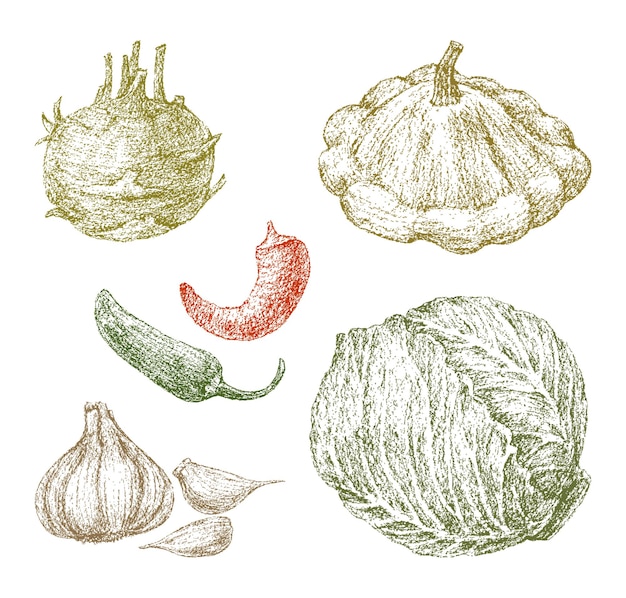 Vegetables set