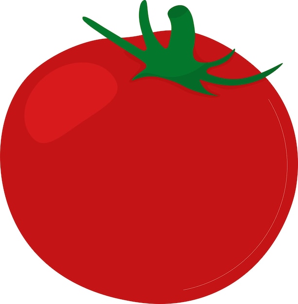 Vector vegetables tomato