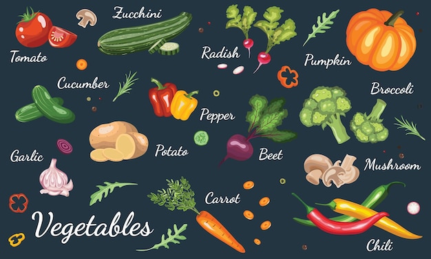 Vegetables Vector banner template