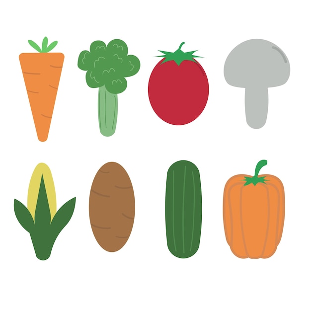 Vector vegetables vector