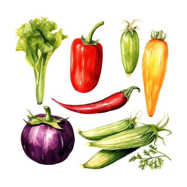 Vegetables watercolor in retro hand drawn style on white background summer element vector