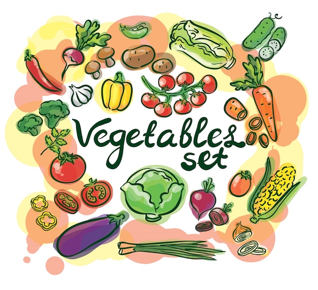 vegetables watercolor set with lettering