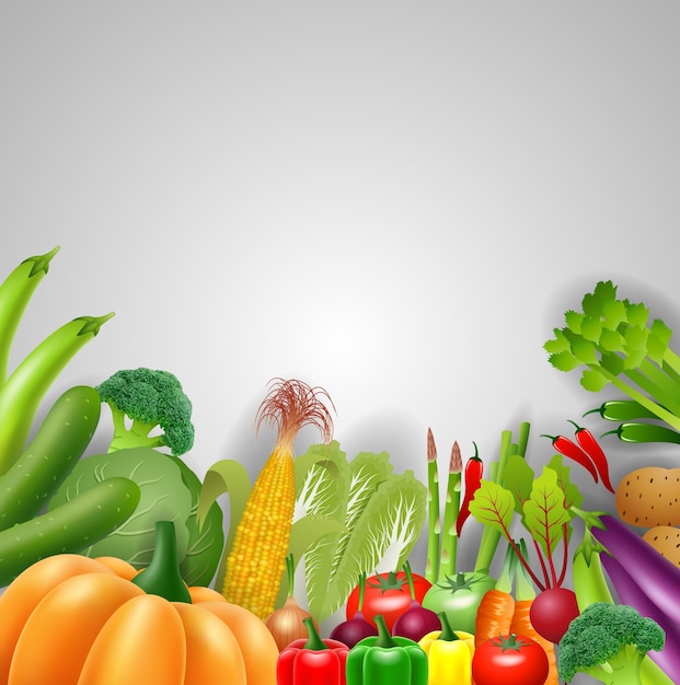 vegetables on a white background vector illustration