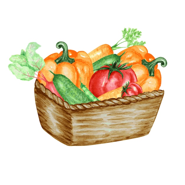 Verdure in cesto di vimini. illustrazione colorata stilizzata cetriolo, pepe, pomodori, carote