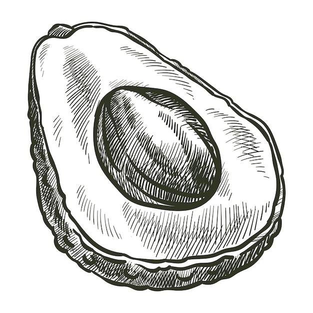 食事と料理のためのベジタリアンとビーガンの成分、種と皮で分離されたアボカド梨
