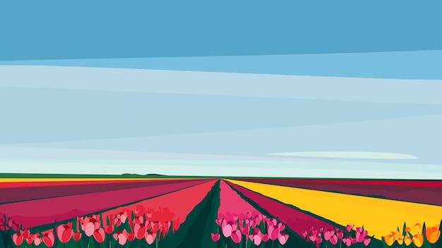 Veld met verschillende tulpen