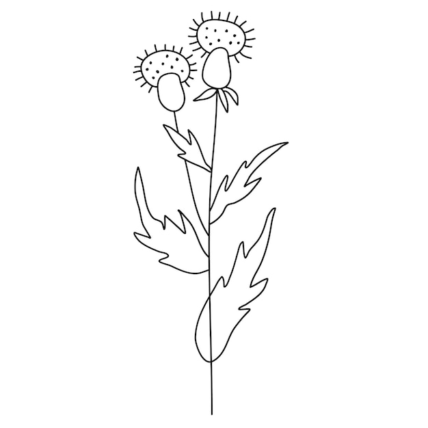 Veldplant lijnvector, lijnbloemvector, minimalistisch lijnontwerp, wildplant vector