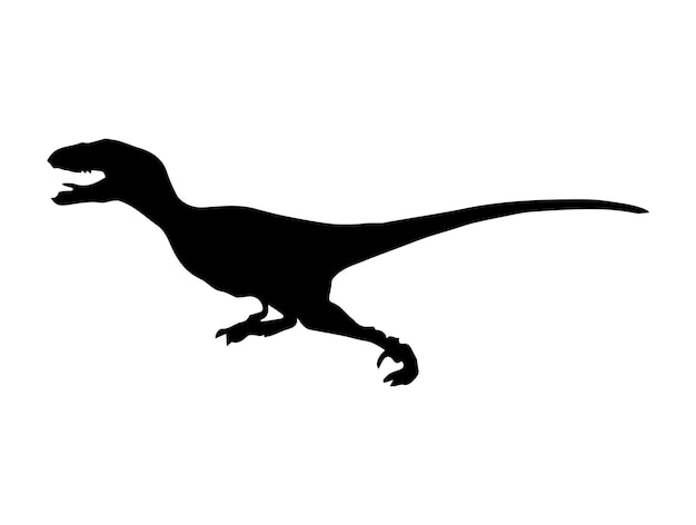 Velociraptor dinosaur on isolated background