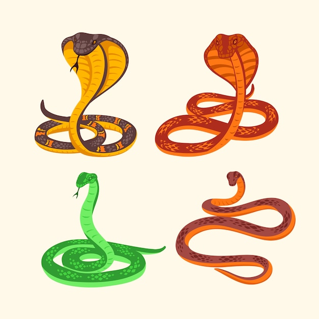 Vector venomous snake illustration set isolated.
