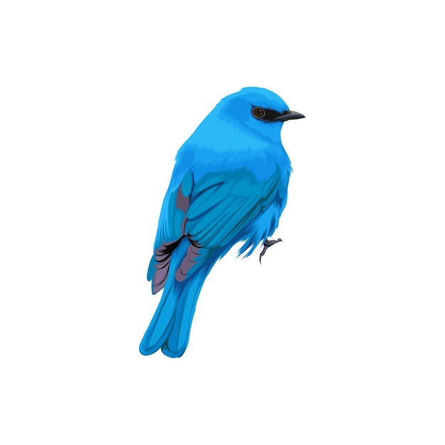 Verditer Flycatcher bird vector