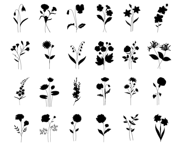 Verjaardag Bloemen Bloem Platte vector Silhouetten