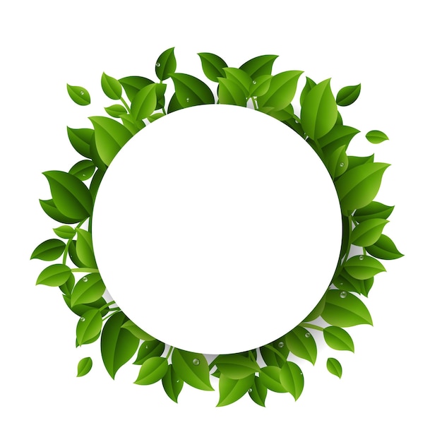 verlaat frame