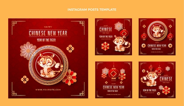 Vector verloop chinees nieuwjaar instagram posts collectie