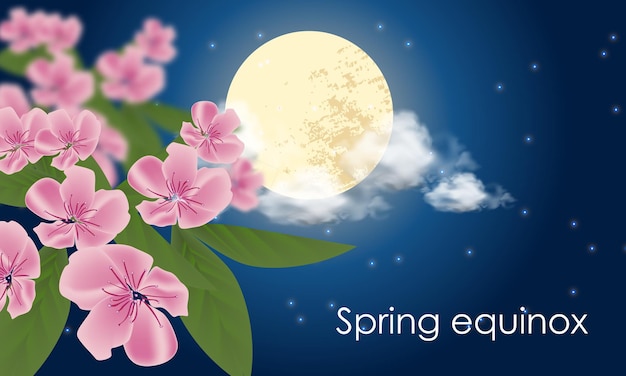 The vernal equinox falls on March 20 In the northern hemisphere