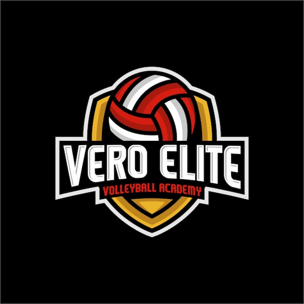 Vector vero elite volleyball