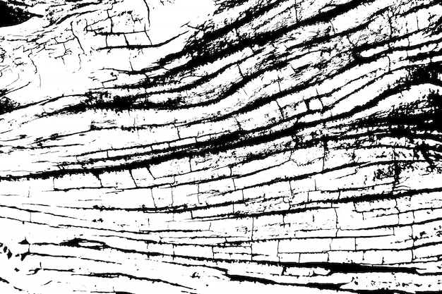 Verontruste overlay textuur van ruw oppervlak, oude boomstronk met scheuren, ringen op boom. grunge achtergrond. grafische bron met één kleur.