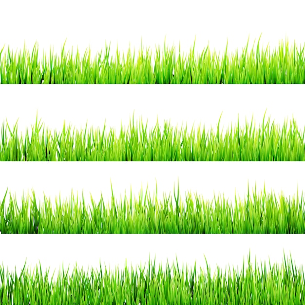 Vector vers de lente groen gras dat op wit wordt geïsoleerd