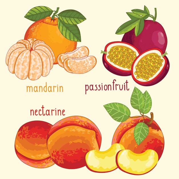 Vers fruitmix geïsoleerde, vectorillustratie