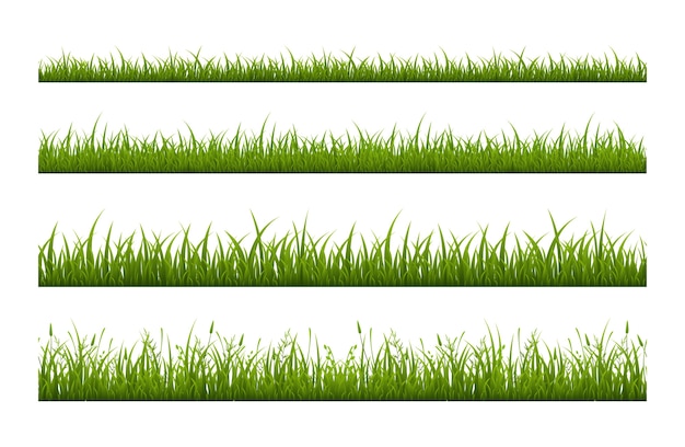 Vers groen gras lijn plat naadloze patroon. Kruidengroei illustratie ingesteld op witte achtergrond. Sportveld coating. Zomerweide, gazon. Decoratieve botanische geïsoleerde strepen
