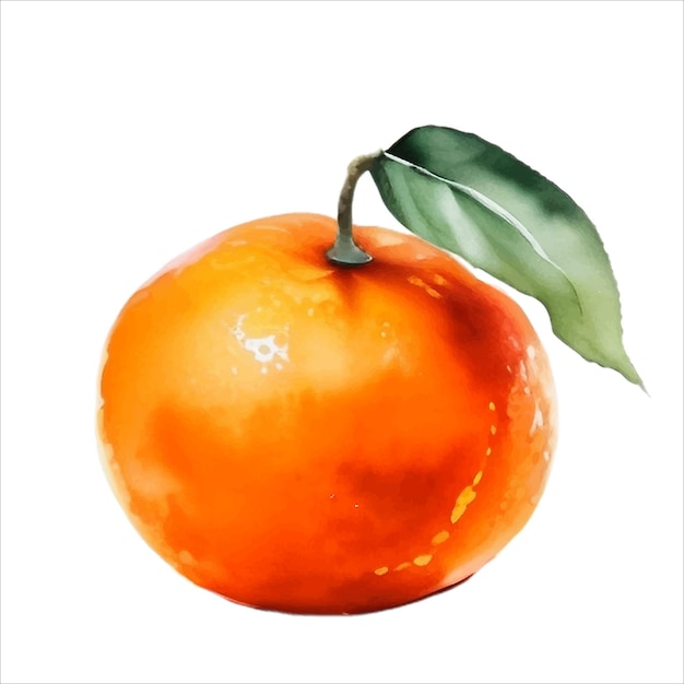 Vers Oranje Fruit Met Blad Aquarel Schilderij Illustratie Vector