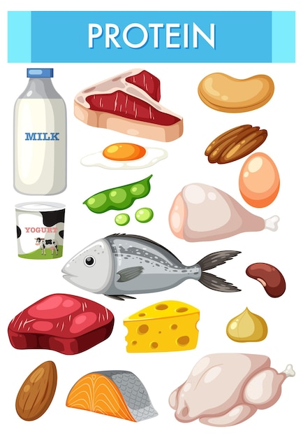 Verscheidenheid aan eiwitrijk voedsel
