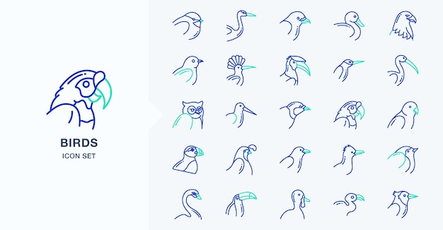 Verscheidenheid aan vogels vector iconen