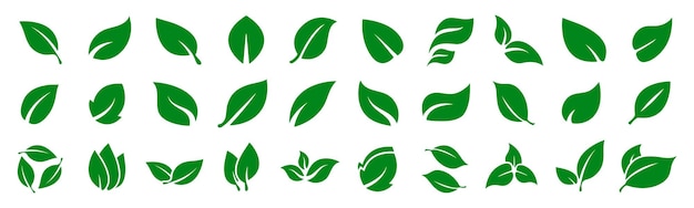 Verschillende groene bladeren vormen geïsoleerd op wit Groene blad vector icoon collectie voor design