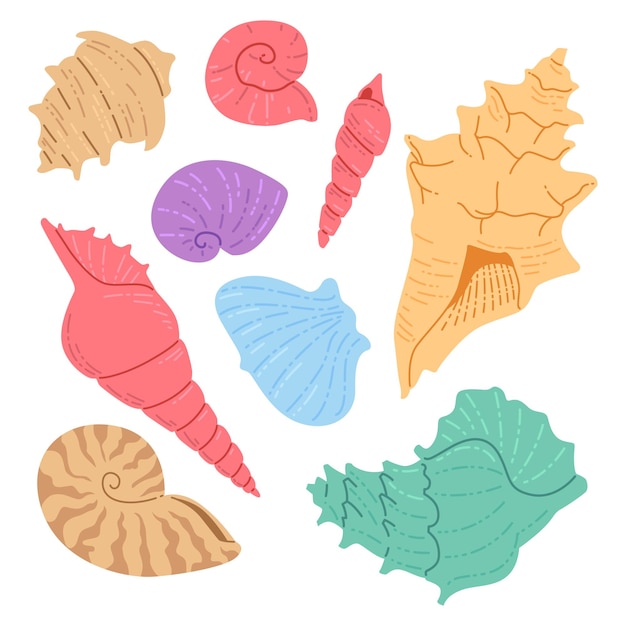 Verschillende illustratiepakketten voor platte zeeschelpen