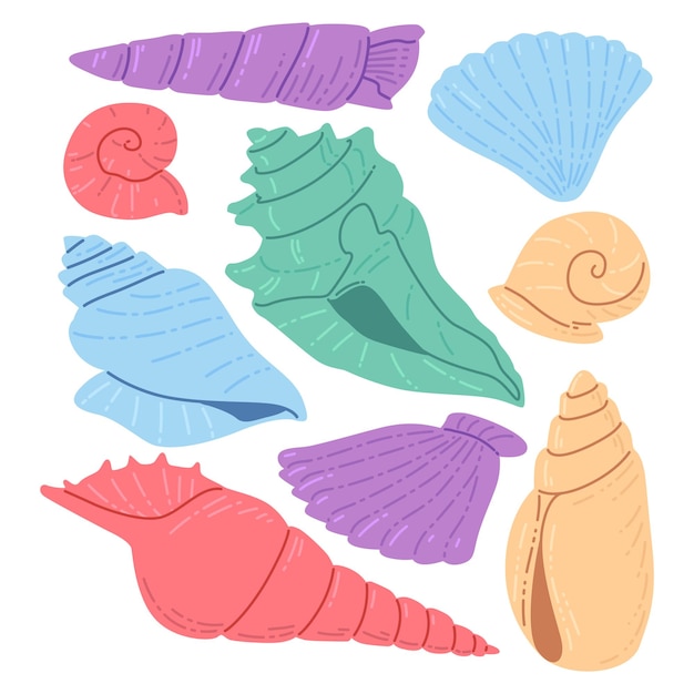 Verschillende illustratiepakketten voor platte zeeschelpen