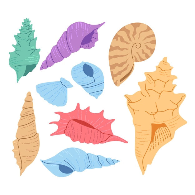 Verschillende illustratiepakketten voor platte zeeschelpen