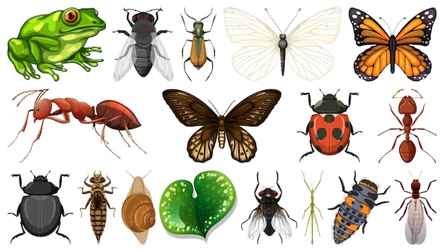 Vector verschillende insecten collectie geïsoleerd op een witte achtergrond