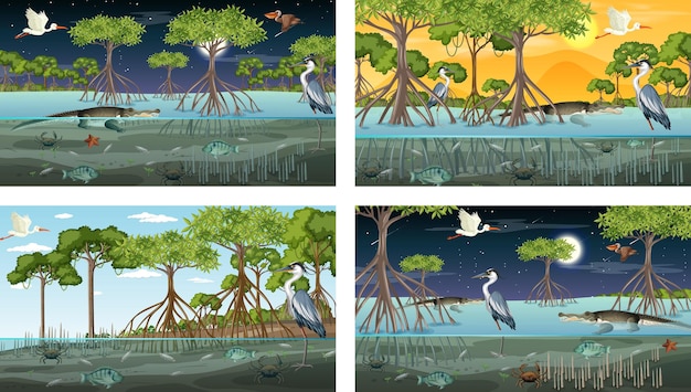 Vector verschillende mangroveboslandschapsscènes met dieren en planten