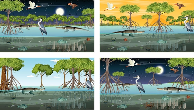 Vector verschillende mangroveboslandschapsscènes met dieren